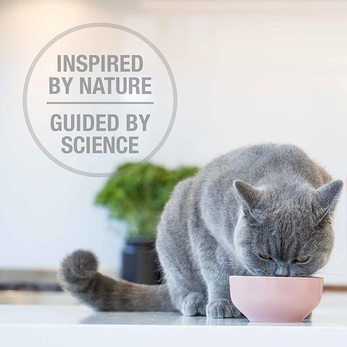 Feline Natural High Protein Dry Cat Food, Freeze-Dried Diet with 98% Meat, Organs & Seafood, No Peas, Grains, or Artificial Additives, Made in New Zealand, Beef, 11oz