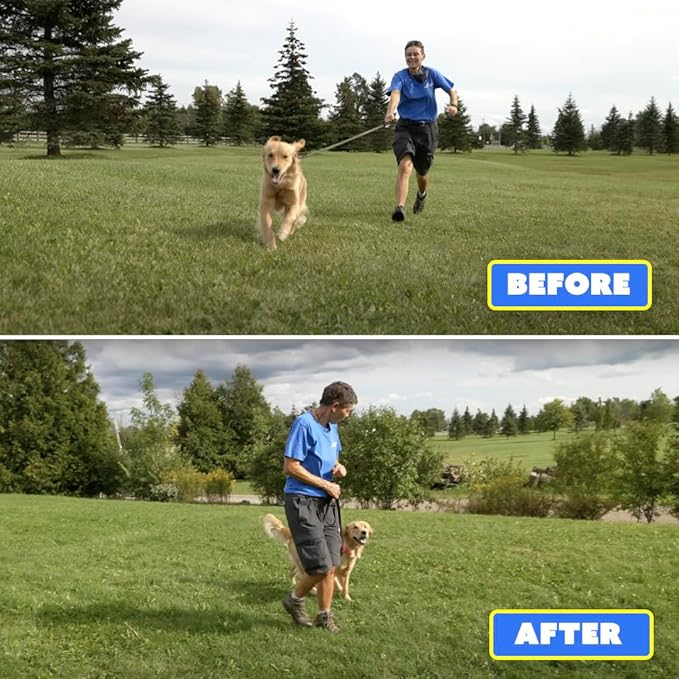 Generic Barks No More Dog Training Device & Bark Deterrent - Stop Barking Without Hurting Your Pet - Just Point & Press!, Black