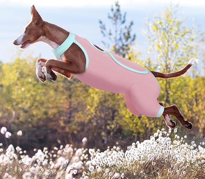 ROZKITCH Dog Surgery Leg Sleeve Rear Legs, Male Female Pet Prevent Licking Wound Elbow Knee Protector, Dog Recovery Suit Cone Collar Alternative Pants Shirt for Wound Heal Wrap Pink XL