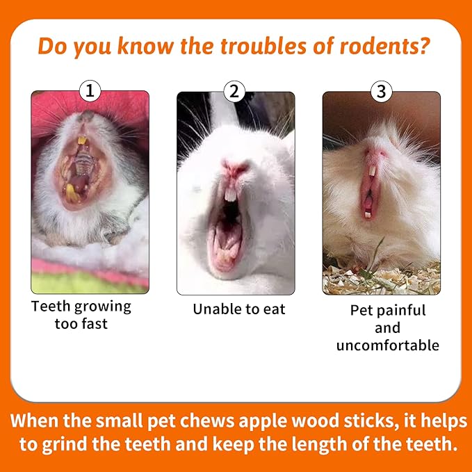 Fhiny 12 PCS Guinea Pigs Chew Toys, Natural Apple Branch Seagrass Molar Sticks for Teeth Bunny Chew Toys Cage Accessories for Guinea Pigs Rabbit Bunny Hamster Chinchilla