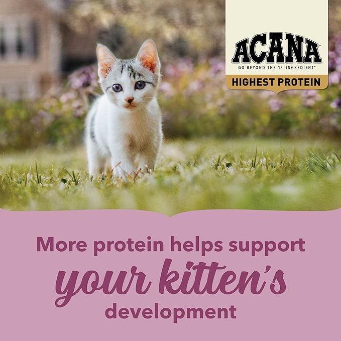 ACANA Highest Protein Dry Cat Food Kitten Recipe 4lb Bag