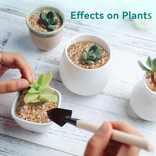 2.5 lbs Coarse Sand for Plants, 1/5 Inch Horticultural Sand for Vases, Aquariums, Terrarium, Fish Tank, Drainage Rocks for Potted Plants, Bamboo, Succulent, Crafts, Cactus