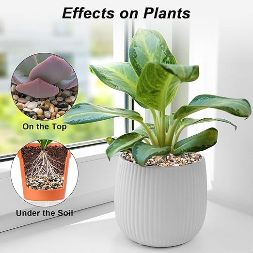 Fish Tank Rocks,Virekm River Rocks, Decorative Ornamental Pebbles Garden Landscaping Stones Gravel Filler for Home Decoration Flower Bed Fish Tank Plants Vases Succulents (10 Pounds)