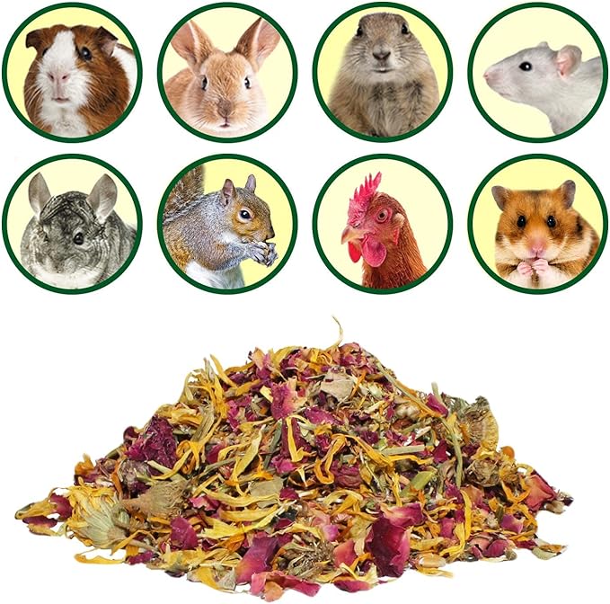 Flower Fusion Treat - Healthy Natural Dried Flower Herbivore Treat - Chinchillas, Guinea Pigs, Rabbits, Prairie Dogs, Degus, Hamsters, Rats, Squirrels, Sugar Gliders & Other Small Pets (0.85 oz)