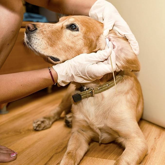 200-Pack of Long, Large Dog Ear Swabs with Bamboo Sticks: Perfect for Dog Ear Cleaning and Infection Treatment. Gentle, Effective, and Eco - Friendly for Pet Hygiene