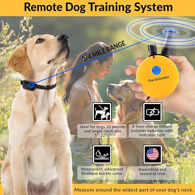 Educator E-Collar Humane Dog Training Collar with Remote, Features 100 Levels of Safe Stimulation, Tapping Sensation, Night Light, Waterproof, Rechargeable, 3/4 Mile 1 Dog, Yellow