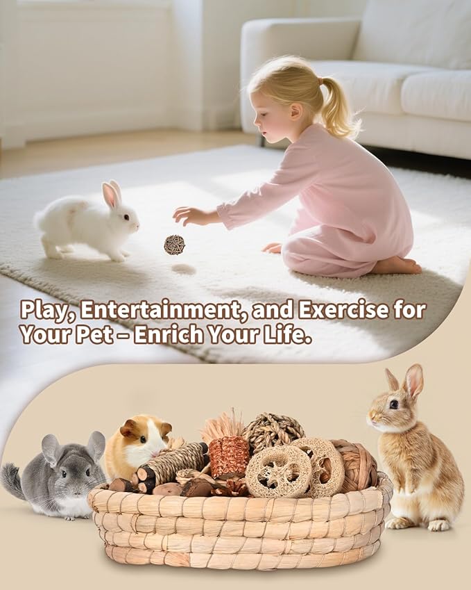 31PCS Rabbit Chew Treat Toys for Teeth Health, Natural Bunny Enrichment Toys for Boredom & Stress Relief, Keep Busy Toys for Guinea Pig Chinchilla Hamster Rat Gerbil Degu Indoor Outdoor