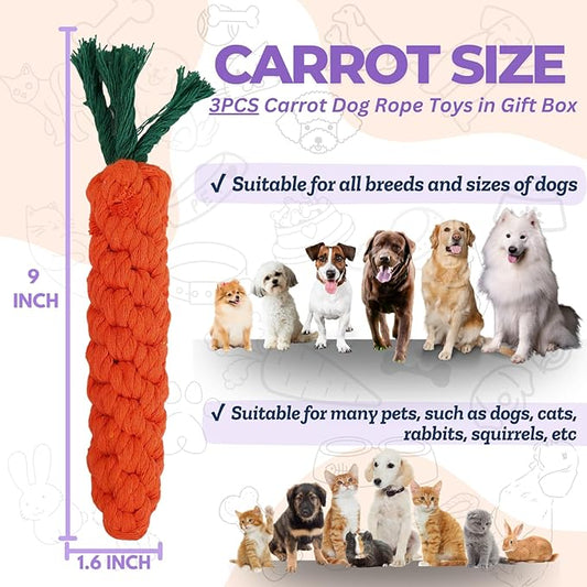 3PCS Orange Woven Pet Chew Set, Puppy Teething Chews, Dog Chew Treats, Cat Teething Playset, Safe Braided Chews for Pets, Durable & Interactive