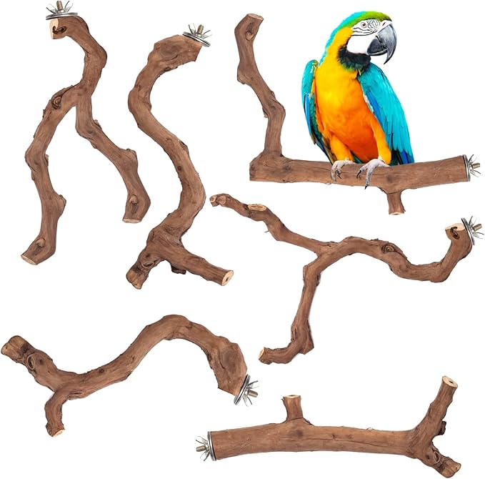 6-Piece Premium Bird Perch Stand with Natural Grape Wood Branch, Paw Grinding Fork, Chewing Stick, Cage Accessories for Parakeets, Budgies, Cockatiels, Finches, Lovebirds
