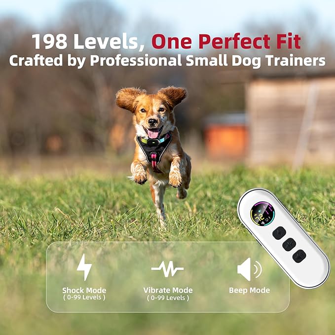 2025 Upgraded Ultra-Small Shock Collar, Ultra-Light & Thin Shock Collar for Small Dogs 5-15lbs, Ultra-Modern Design, 3 Training Modes-Beep, Vibration and Shock with Safety Lock, IPX7 Waterproof