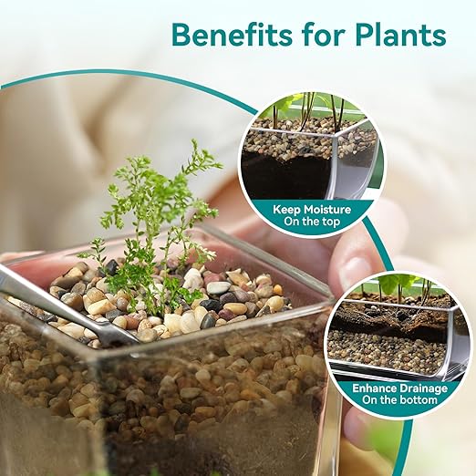 5 lbs Small Rocks for Plants, 1/5 Inch Gravel for Plants Drainage, Decorative Potting Pebbles for Indoor Plants, Vases, Bamboo, Succulent, Terrarium, Crafts, Cactus