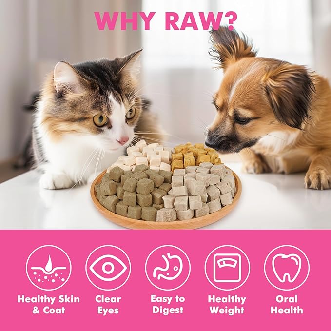 Freeze Dried Cats & Dogs Raw Treats, All Natural Single Ingredient Duck Breast, High Protein Healthy Pet Training Treats or Food Topper, 9.9 oz