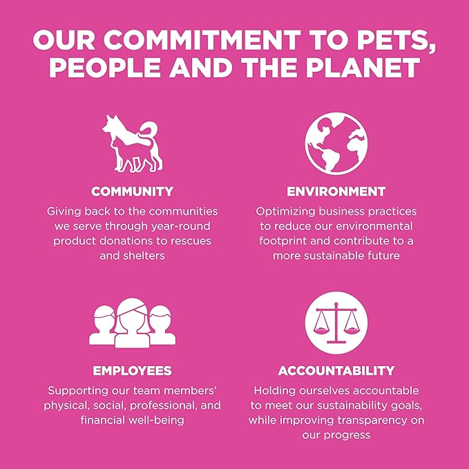 Go! Solutions Skin + Coat Care, Dry Cat Food, Chicken Recipe with Grains, 8 lb Bag