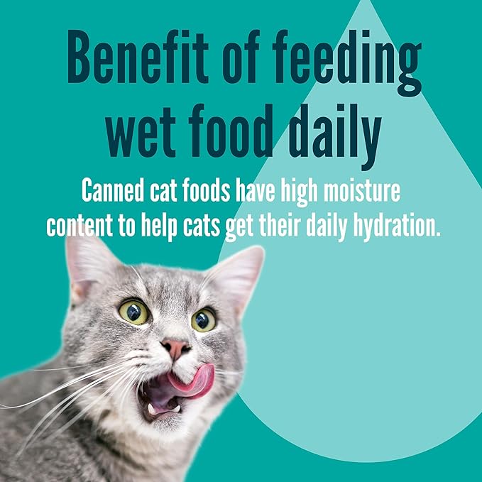 A Strong Heart Canned Wet Cat Food, Grilled Chicken Flavor in Gravy - 3 oz Cans (Pack of 24), Made in The USA with Pieces of Real Grilled Chicken