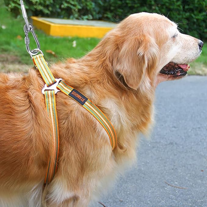 Tresbro 50FT Reflective Tie Out Cable for Dogs Up to 250 Pounds, Steel Wire Lead Leash Cable with Stainless Dual Fix Buckle, Lightweight and Enduring, Outdoor Dog Chains for Outside,Yard,Camping