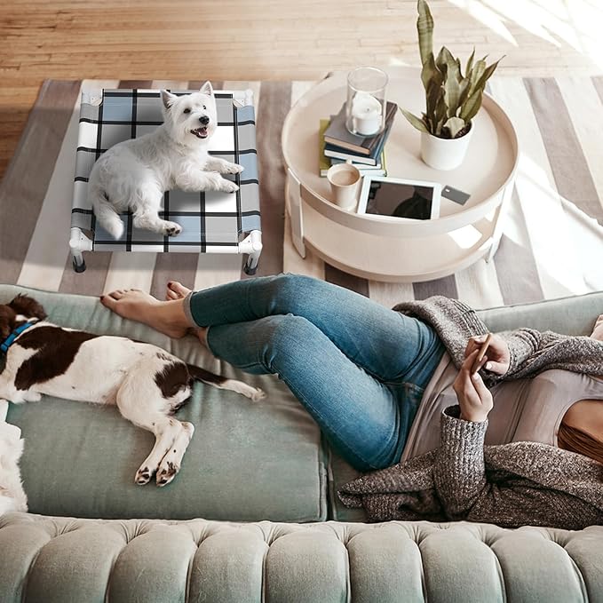 Elevated Outdoor Raised Dog Bed Outdoor Dogs Bed Lifted Pet Bed Dog Cot for Pet Taste Life, Start with A Pet Bed 20'' x 20'' x 6.5''
