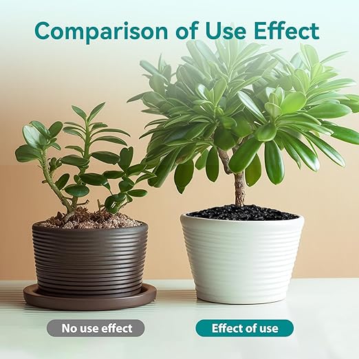 2.5 lbs Black Pebbles for Indoor Plants, 3/8" Small Rocks for Plants Indoor, Succulent, Bamboo, Vase, Decorative Black River Rocks Pea Gravel, Highly Polished