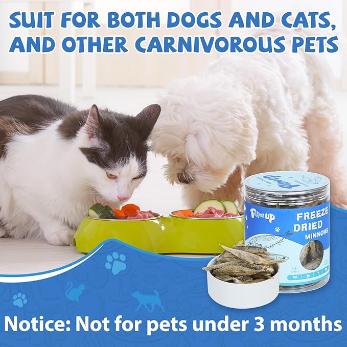 Freeze Dried Minnows Cat Treats – 100% Natural, Single-Ingredient Pet Snacks – Rich in Omega-3, Grain-Free – Healthy Training Rewards & Meal Toppers for Dogs & Cats, 2.8 oz