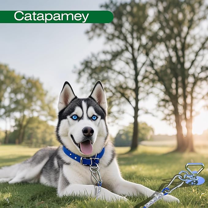 Dog Tie Out Stake,360° Swivel Dog Run Stake - 304 Stainless Steel Stake,Runner for Yard,Use Any Tie Out Cable or Yard Leash-Up to 200 lbs-for Outdoor Camping