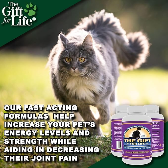 Feline Peptides, Peptides for Cats, Life Extending Cat Supplement, Immune Supplement, Joint Supplement, Skin and Coat Supplement for Cats, 60 Tablets