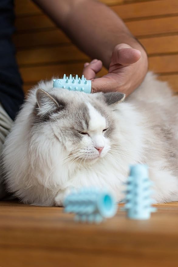 Furr&Purr Cat Brush Set for Indoor Cats - Grooming Tools: Face Scratcher, Calming Massager, and Scratching Pad (2-Pack, Made in the USA)