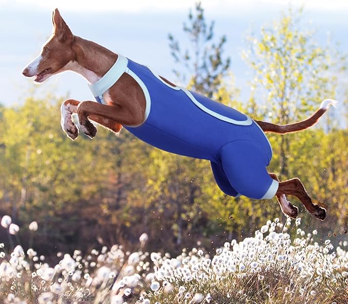 ROZKITCH Dog Surgery Leg Sleeve Rear Legs, Male Female Pet Prevent Licking Wound Elbow Knee Protector, Dog Recovery Suit Cone Collar Alternative Pants Shirt for Wound Heal Wrap Blue 2XL