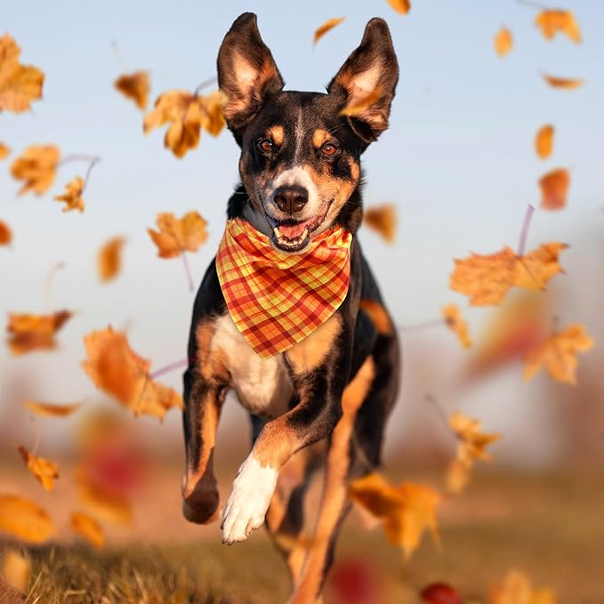 Abbylike 50 Pcs Fall Plaid Dog Bandanas Bulk Autumn Bandanas for Dogs Triangle Kerchief Bibs Scarf for Small Medium Large Pets Thanksgiving Costume Accessories, 25 Styles (31.5 x 21.7 x 21.7 Inch)