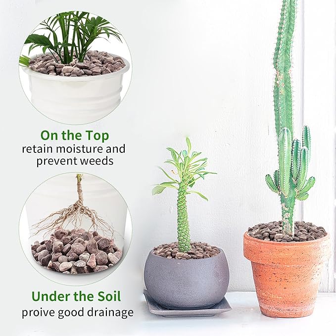 2 lbs Succulent and Cactus Pebbles Gravel, 3/8 Inch Decorative Red River Rocks for Plants Indoor, Vases, Terrarium, Potted Top Dressing and Outdoor Decorative Stones