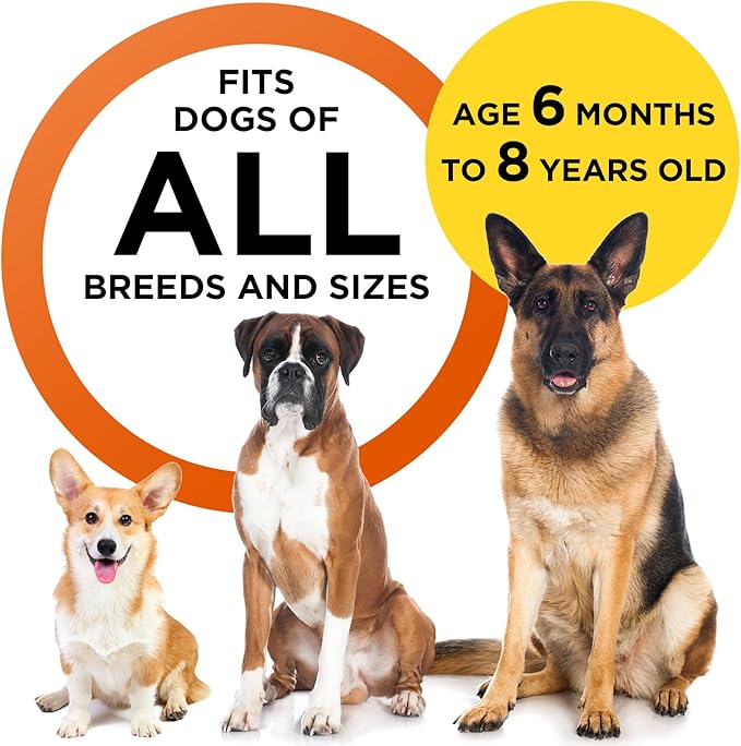 2024 Dog Bark Deterrent Device, Anti-Bark Device for Dog Training & Behavior Aid, No Need to Yell or Pat, Simply Point at The Dog Within 35ft, Ultra-Bright LED Flashlight | Bark Collar Alternative