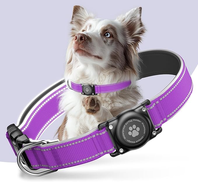 Airtag Dog Collar - 100% Waterproof Air tag Dog Collar Holder for Apple AirTag, Reflective, Soft Padded, Everlasting, GPS Dog Collar for Small Medium Large Dogs (Purple, L)