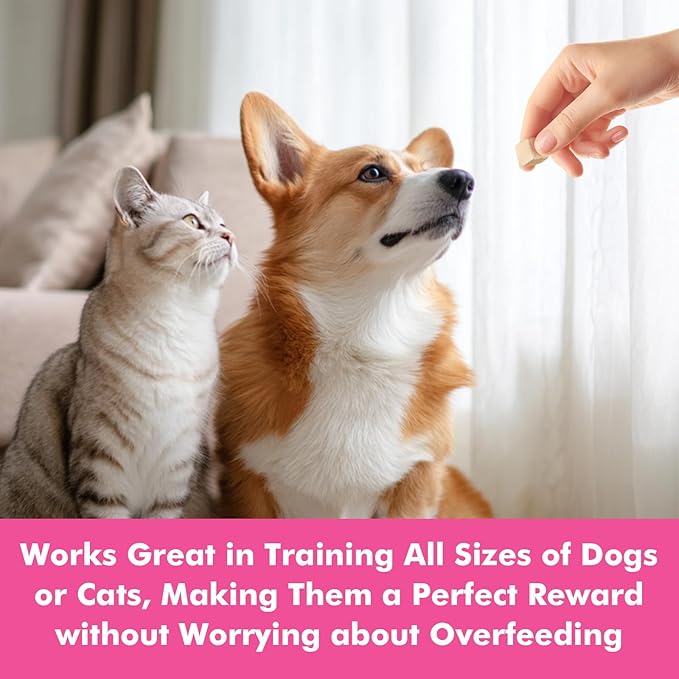 Freeze Dried Cats & Dogs Raw Treats, All Natural Single Ingredient Salmon, High Protein Healthy Pet Training Treats or Food Topper, 3.5 oz