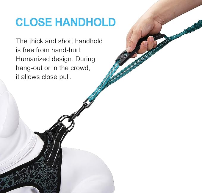 6FT Highly Reflective Heavy Duty Elastic Bungee Medium and Large Dog Leash Shock Absorbing with Comfortable Padded Handle and Traffic Handle Suitable for Training