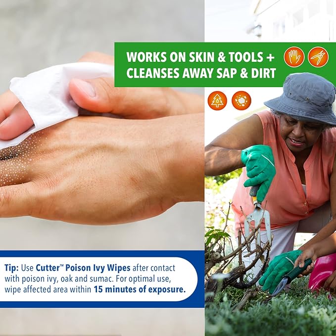 Cutter Poison Ivy Wipes, On-the-Go Cleansing for Poison Ivy, Oak & Sumac, 12 Wipes, (3 Pack)