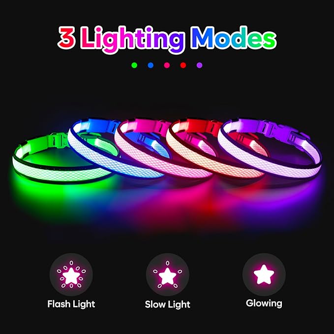 Flashseen LED Dog Collar, Light Up Dog Collar USB Rechargeable, Brightest Dog Lights for Night Walking, Adjustable Dog Collar Light for Dog Safety (Large, Royal Blue)