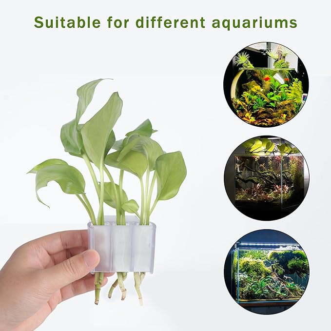 3 Holes Upgraded Aquatic Plant Cup Aquarium Plant Holder for Tank,Hanging Aquarium Plant Holder,Aquarium Aquatic Plant Cultivation,Aquarium Plant Decoration. (White 4PCS)