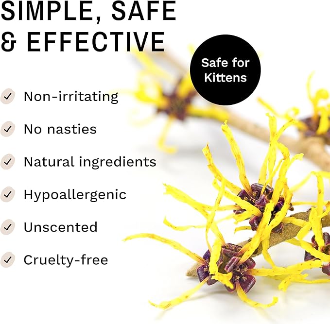 Eye Envy Tear Stain Wipes for Cats. Textured to Gently Clean, Treats The Cause of Staining. 100% Natural Formula. Recommended by Persian & Exotic Breeders, Vets, Groomers. USA Made. 60 Cat Eye Wipes