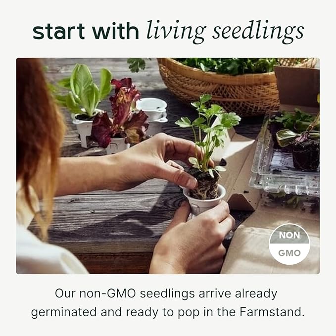 Farmstand Starter Kit with Glow Rings and 12 Seedling Credits | Tiny Hydroponic Growing System Kit | Vertical Garden Planter Tower | 3ft 8in Tall