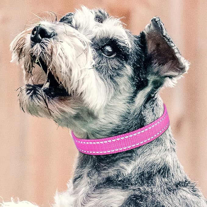 PetJoy Shock Collar Replacement Collar Strap, Reflective Dog Collar, Strong, Durable & Adjustable Dog Collar, 2 Piece Collar for Dogs (Pink & Yellow)