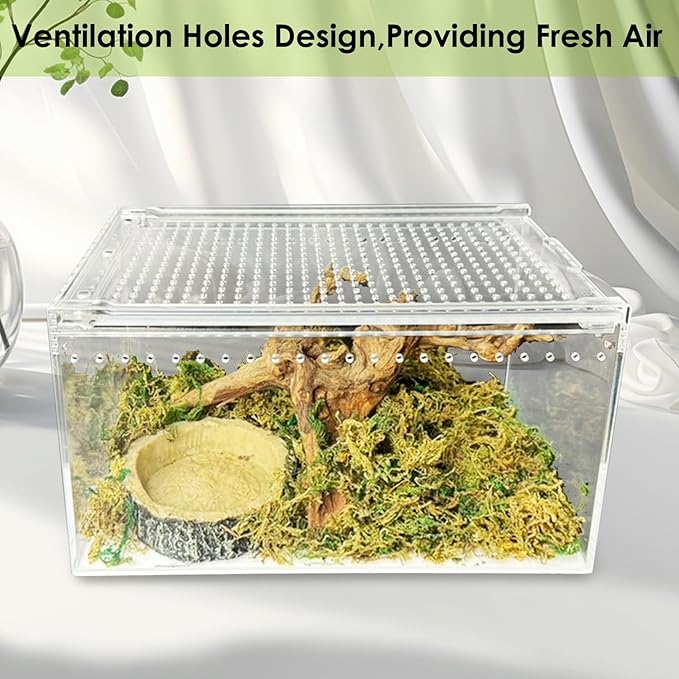 Acrylic Reptile Terrarium Enclosure 9.8" x 5.9" x 5.9" Magnetic Tarantula Breeding Box Transparent Insect Habitat for Jumping Spider Hermit Crab Lizard Sling Isopods Horned Frog Snake Gecko