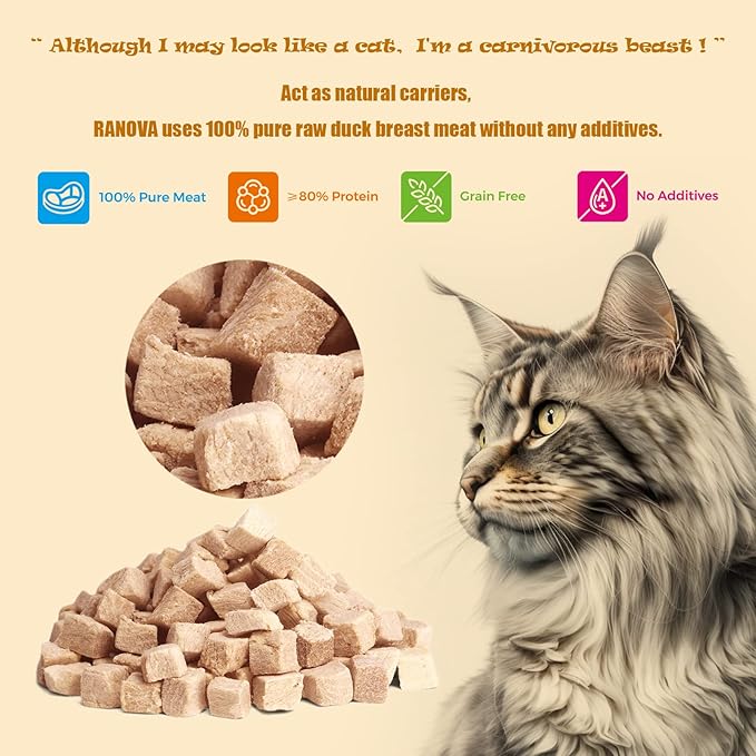 Freeze Dried Cat Treats - 100% Duck Breast Grain Free Raw - Natural Balance Limited Ingredient High Protein Cat Snack 115g/4.1oz - Picky Eater Challenger