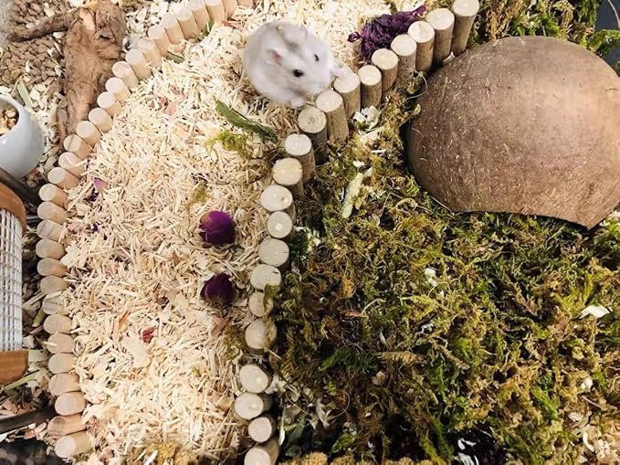 5L Forest Moss for Hamster Syrian Gerbils Bedding, Natural Moss Perfect for Potted Plants, Terrariums, Reptile Tanks and Live Creature Projects