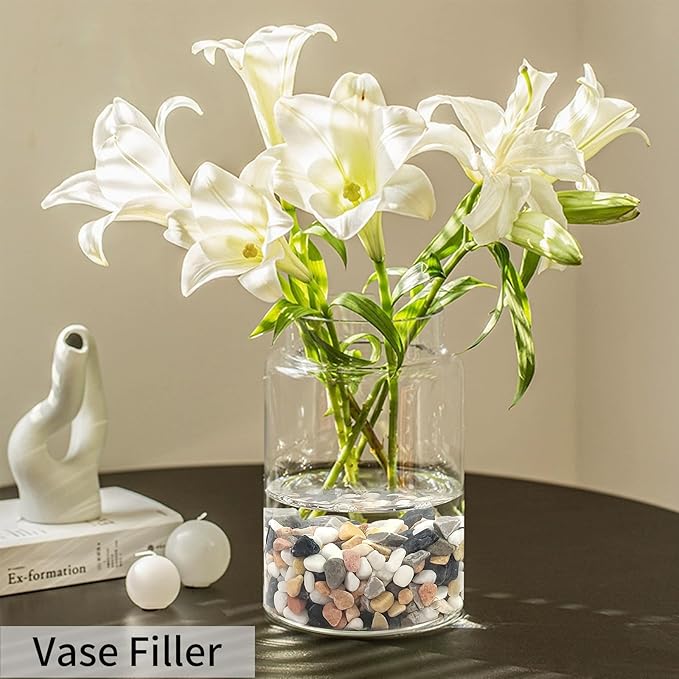 2 lbs Succulent and Cactus Pebbles Gravel, 3/8 Inch Mixed Color Decorative River Rocks for Plants Indoor, Vases, Terrarium, Potted Top Dressing and Outdoor Decorative Stones