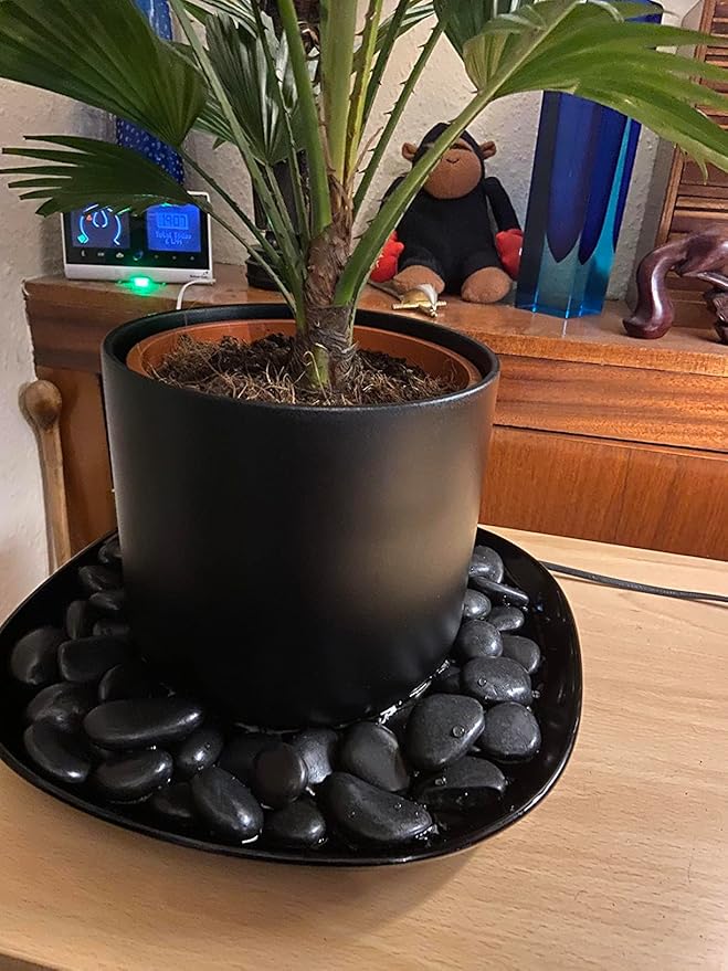 20 lbs Black Pebbles for Plants, 0.8-1.2 inch River Rocks for Landscaping, Decorative Stones for Vase Fillers, Fish Tank Gravel and Garden Rocks