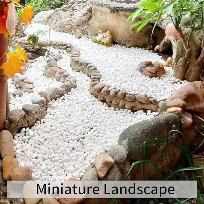 2 lbs White Gravel, 3/8 Inch White Pebbles for Indoor Plants. White Stones for Succulents, Planters, Vase and Outdoor Garden Landscaping