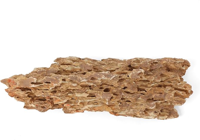 18-20 Inches Natural Dragon Stone 1 PCS Ultra Large Aquarium Rocks for Aquascaping, Aquarium Landscaping, Terrariums, Fish Tank Decoration, Vivariums, Paludarium, Amphibian Enclosures