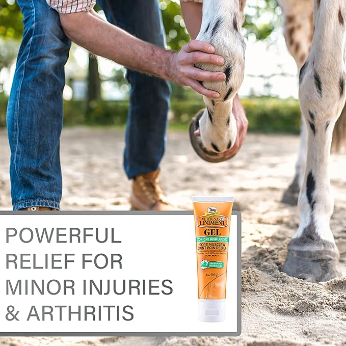 Absorbine Veterinary Liniment Gel, Topical Menthol Analgesic Rub for Sore Muscle, Joint & Arthritis Pain Relief, Combo Pack Includes 12oz Value Size + 3oz Travel Size