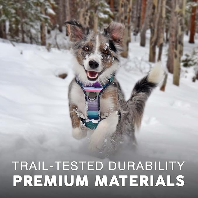 Embark Adventure Dog Harness, Reflective Trim No Pull Harness for Large Dogs - Military Grade Nylon, Front Clip with Gel Lined Handle. Soft & Padded Puppy Harnesses for Any Breed