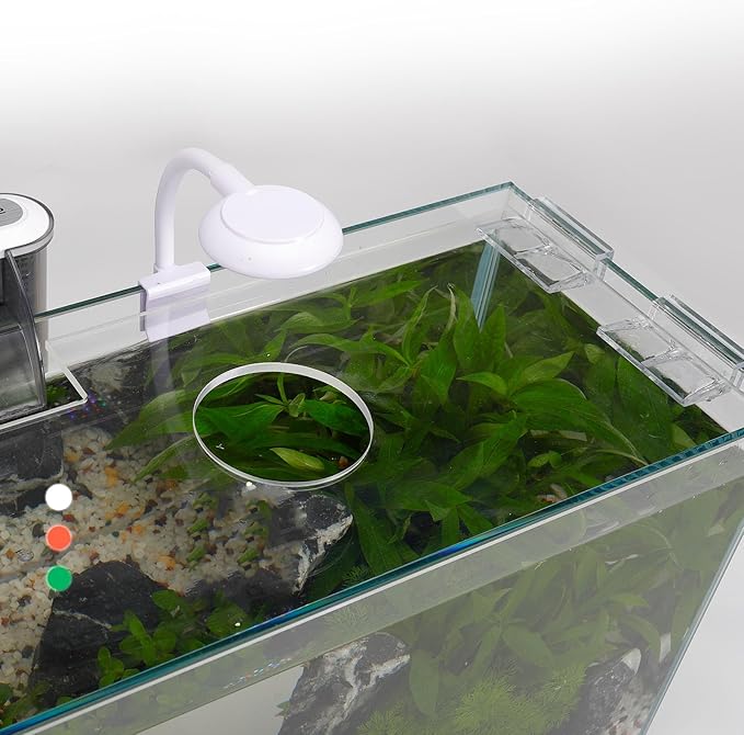 5 Gallon Glass Small Fish Tank, Betta Fish Tank Starter Kit with Filter, Lights, Lid.