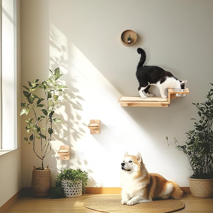 FUKUMARU Cat Wall Shelves, 3 In 1 Cats Walls Furniture Set, Food Station with 2 Steps , Solid Rubber Wood Perch, Suitable for Kitten Play, Nap, Eat, DIY Wall Jungle Gym