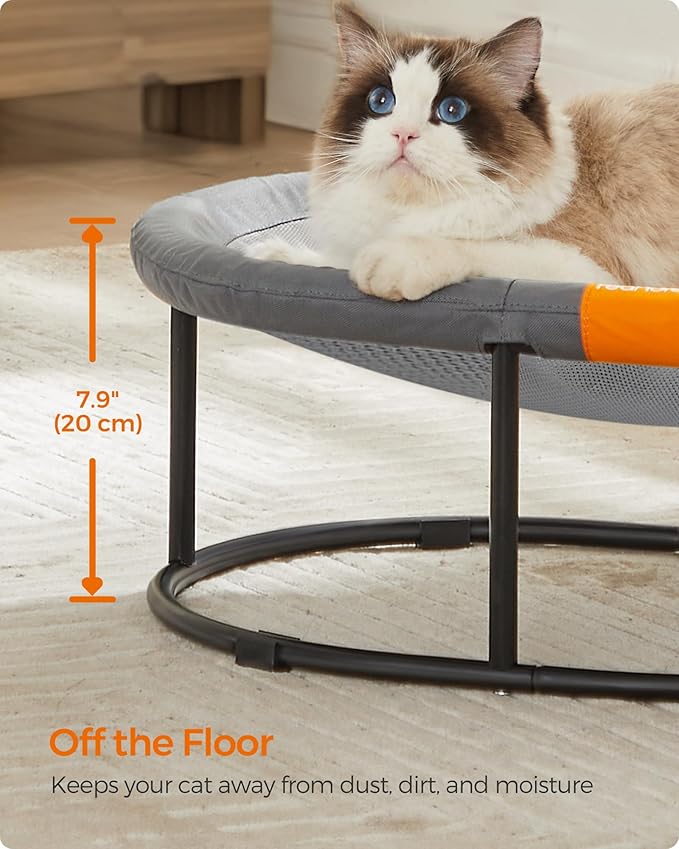 Feandrea Pet Bed, Cat Hammock, Elevated Cat Bed for Multiple Cats, with Removable Washable Mesh, for Pets up to 28 lb, Oval, Gray UPCB002G01